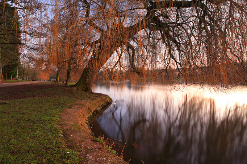 Roath park