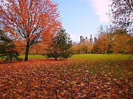 Bute Park