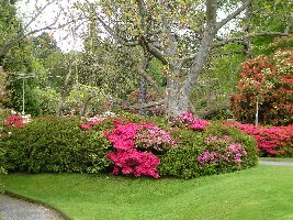 Bodnant Garden