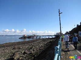 The Mumbles