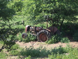 Cefn Onn Farm