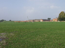 Bryn Y Grog Farm