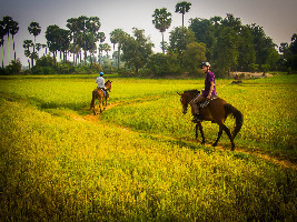 Cambodia Ranch