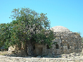 Nea Paphos