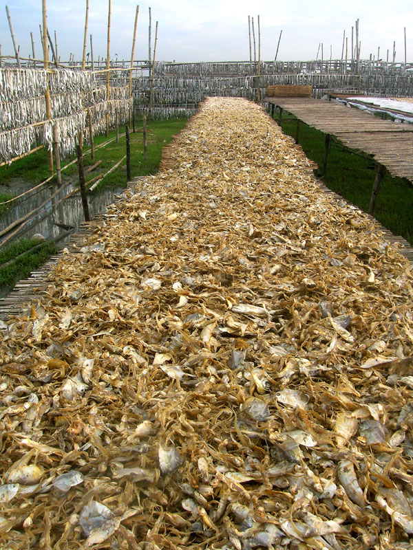 Parnasree Market