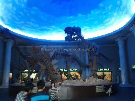 Batu Indonesia Museum