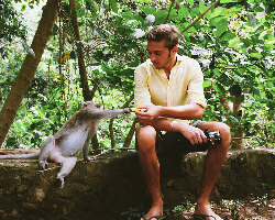 Tegenungan Waterfall