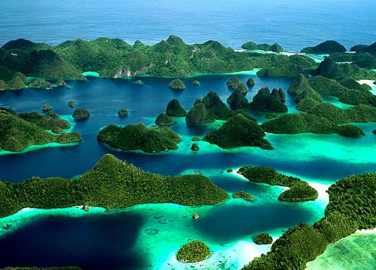 RM.Raja Ampat