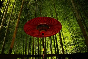 Sanga Ryokan