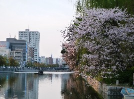 Funaya