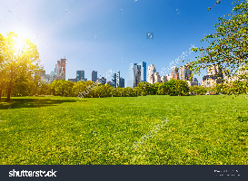 Sunny day