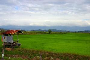 Kuala Kedah