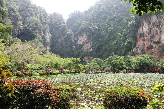 Sam Poh Tong Temple