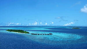 Kuredu 