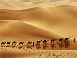 Empty Quarter