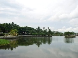 Palmas Del Mar