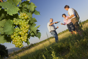 Capas Philippines Resort