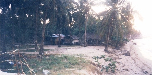 Daanbantayan Philippines Beach