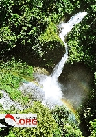 Apareja Buko Halo-Halo