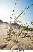 La Luz Beach Resort