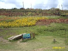 Quezon City Philippines Dam