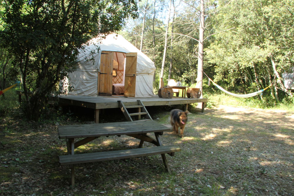 Mamangal Beach Resort
