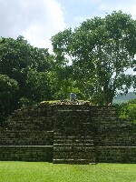 Sula