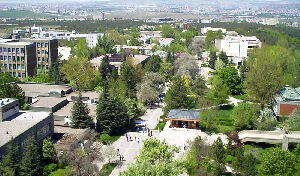 Merkez