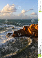 Ocean