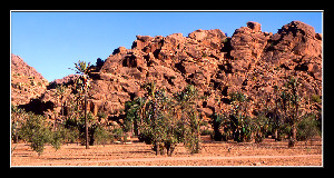 Tafraoute