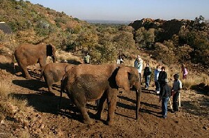 South Africa Sanctuary