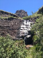 South Africa Gardens