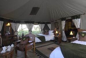 Elephant Bedroom Camp