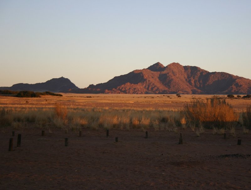 Desert Camp