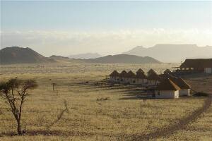 Desert Homestead
