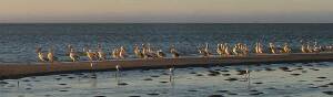 Swakopmund