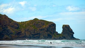 Bethells Beach New Zealand Beach