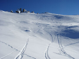Snow Farm Lodge