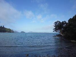 Coromandel New Zealand Bay