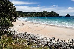 Coromandel New Zealand Beach