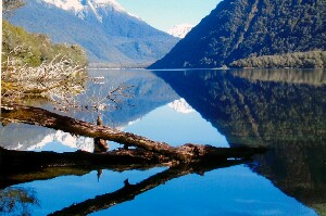 Fiordland National Park New Zealand Lake