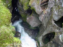 Fiordland National Park New Zealand Park