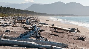 Franz Josef Glacier New Zealand Bay