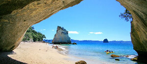 Coromandel Walkway