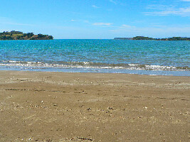 Estuary