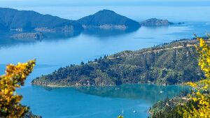 Port Marlborough New Zealand