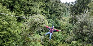 Rotorua Canopy Tours