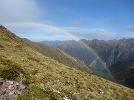 Kepler Track