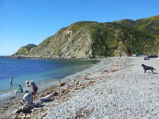 Makara