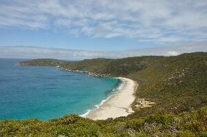 Shelley Beach Lookout